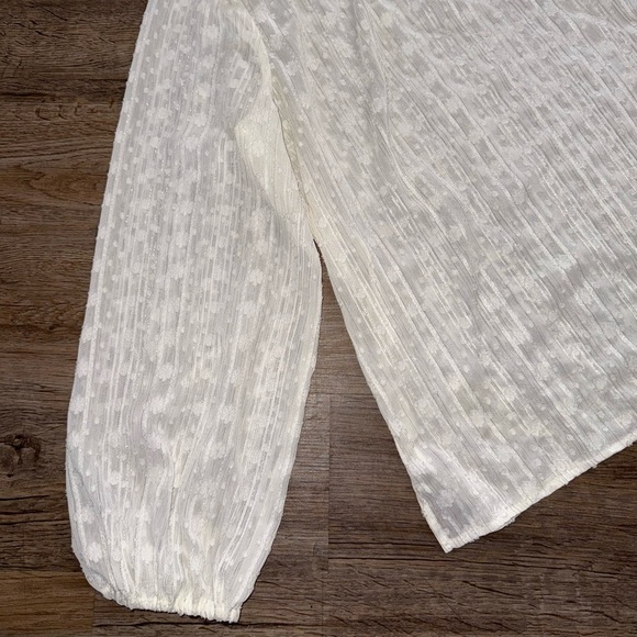 Liz Claiborne • Ivory Textured Sheer Blouse - Picture 6 of 13